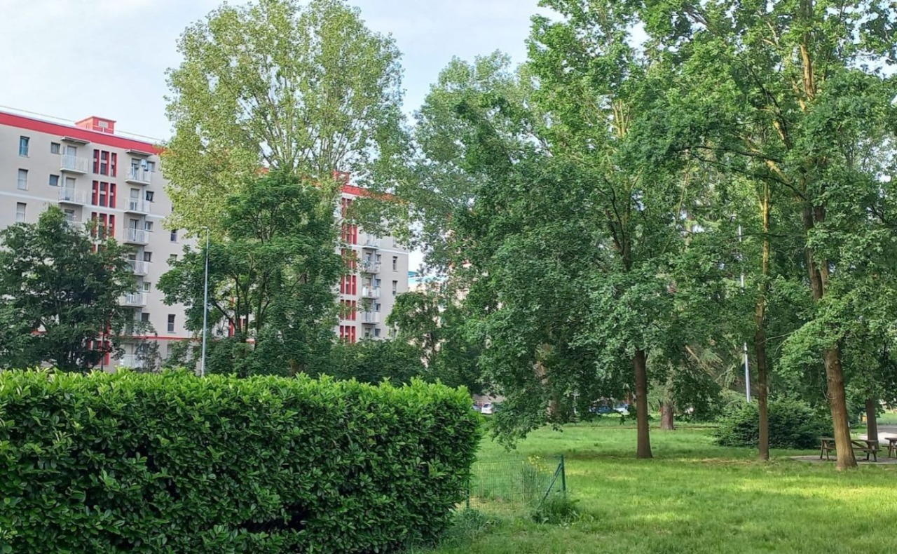 Emergenza casa a Cesano Boscone: 150mila euro per gli affitti e 49 alloggi da assegnare