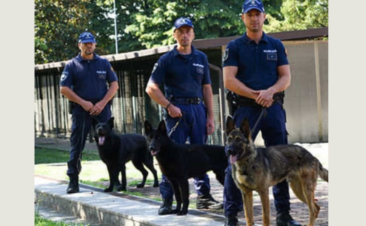 Giro di spaccio in un appartamento Aler occupato da 20anni nel sud Milano: blitz della Polzia locale con cane antidroga