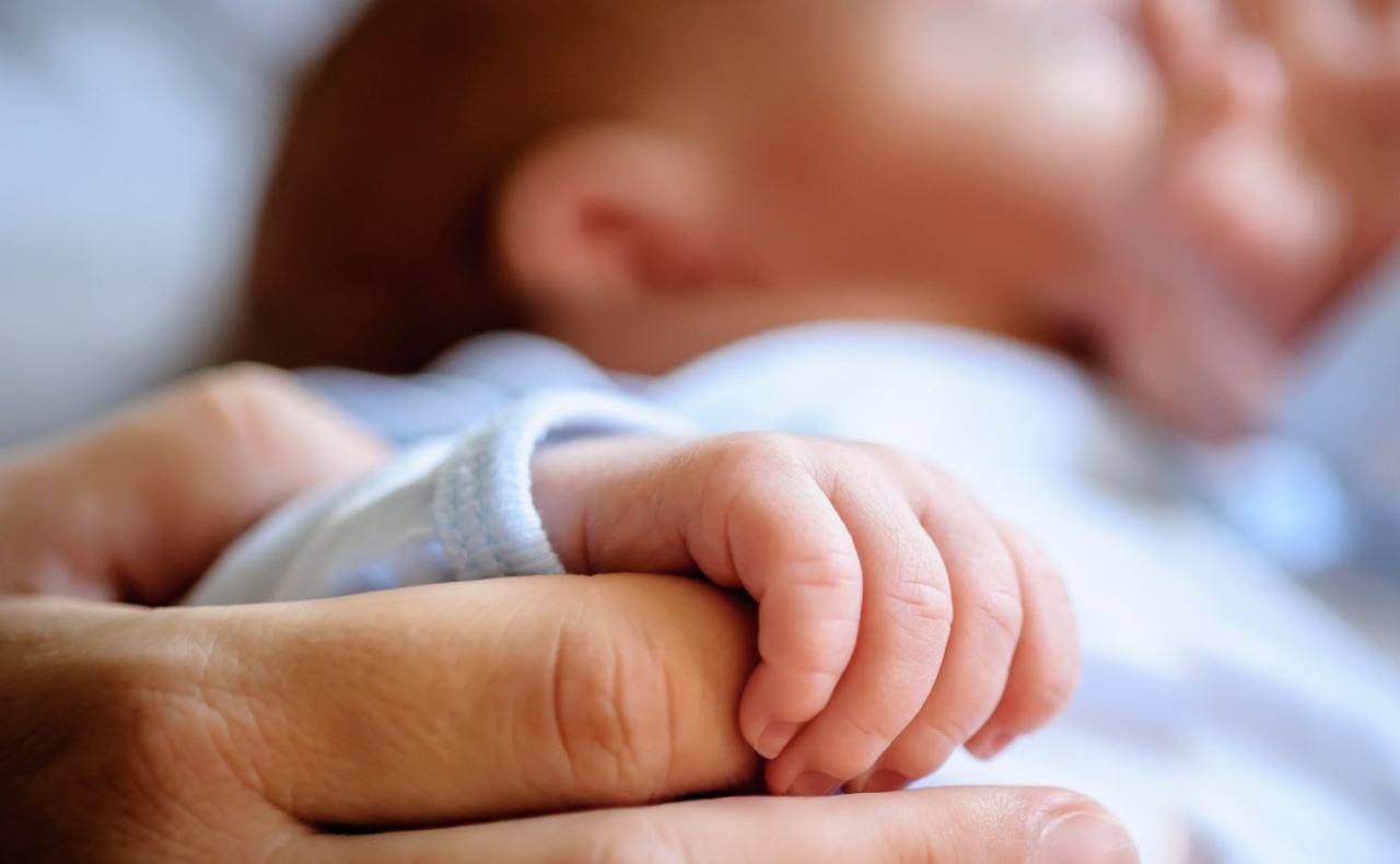 Neonato abbandonato sotto un albero: ricoverato in Terapia intensiva all’ospedale Niguarda, ecco come sta